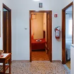 - Ortensia